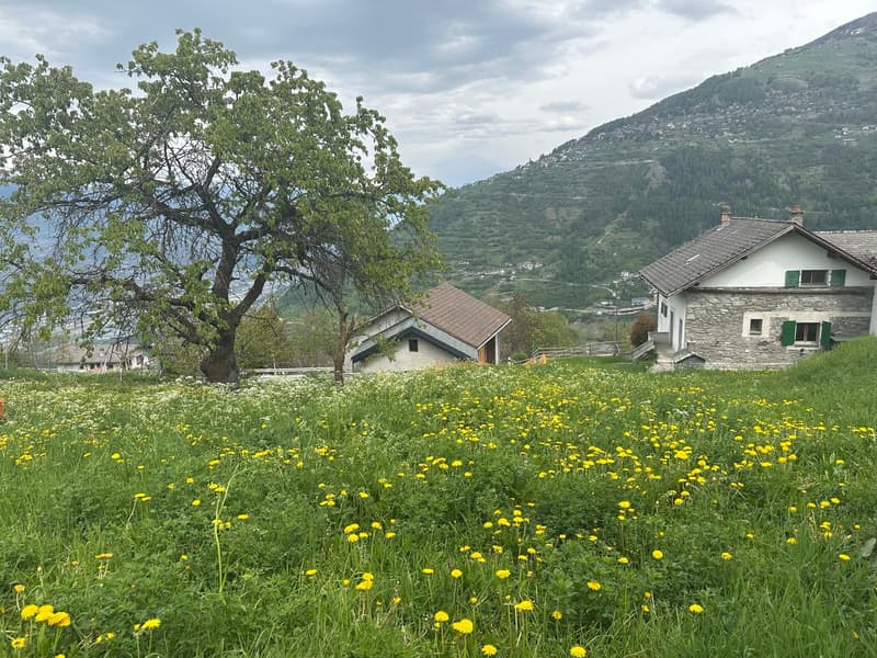 Spacious house to renovate in Haute-Nendaz (7)