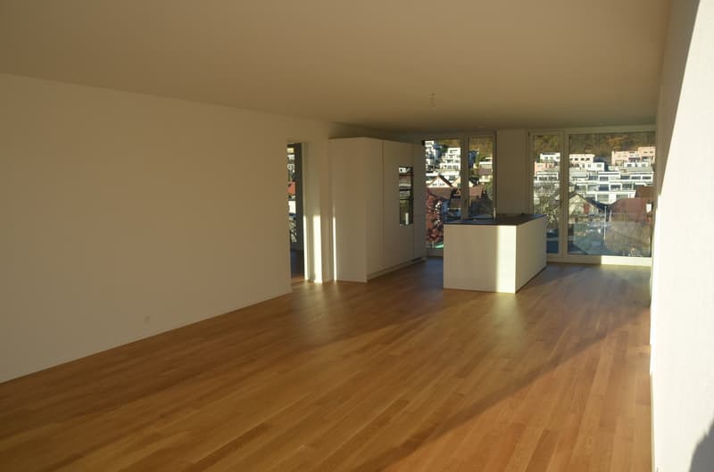 Moderne 4.5-Zimmer-Dachwohnung mit Aussicht in Untersiggenthal (2)