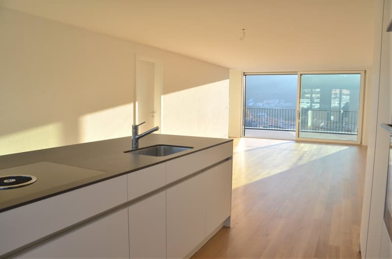 Moderne 4.5-Zimmer-Dachwohnung mit Aussicht in Untersiggenthal (1)