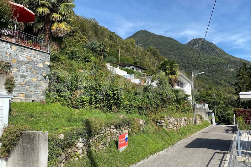 Terreno con vista eccellente (4)