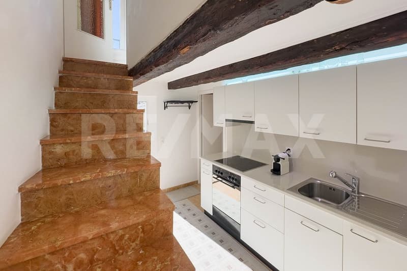 Appartamento 2.5 locali di charme (3)