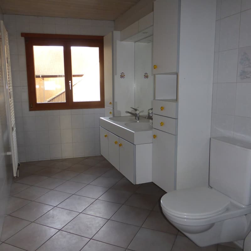 Appartamento 5 locali a Soyhières (10)