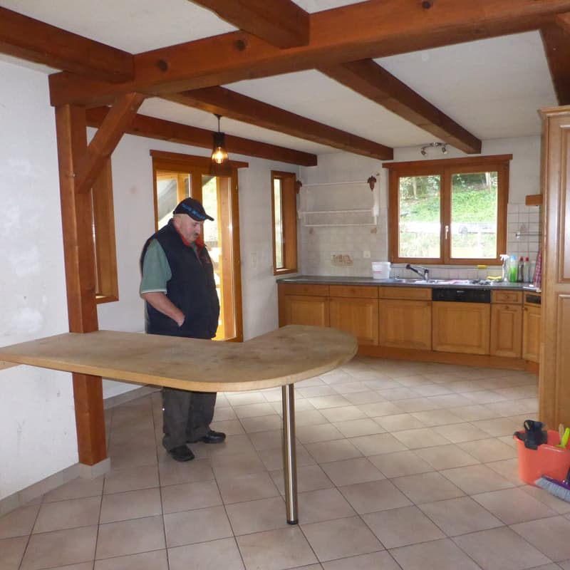 Appartamento 5 locali a Soyhières (7)