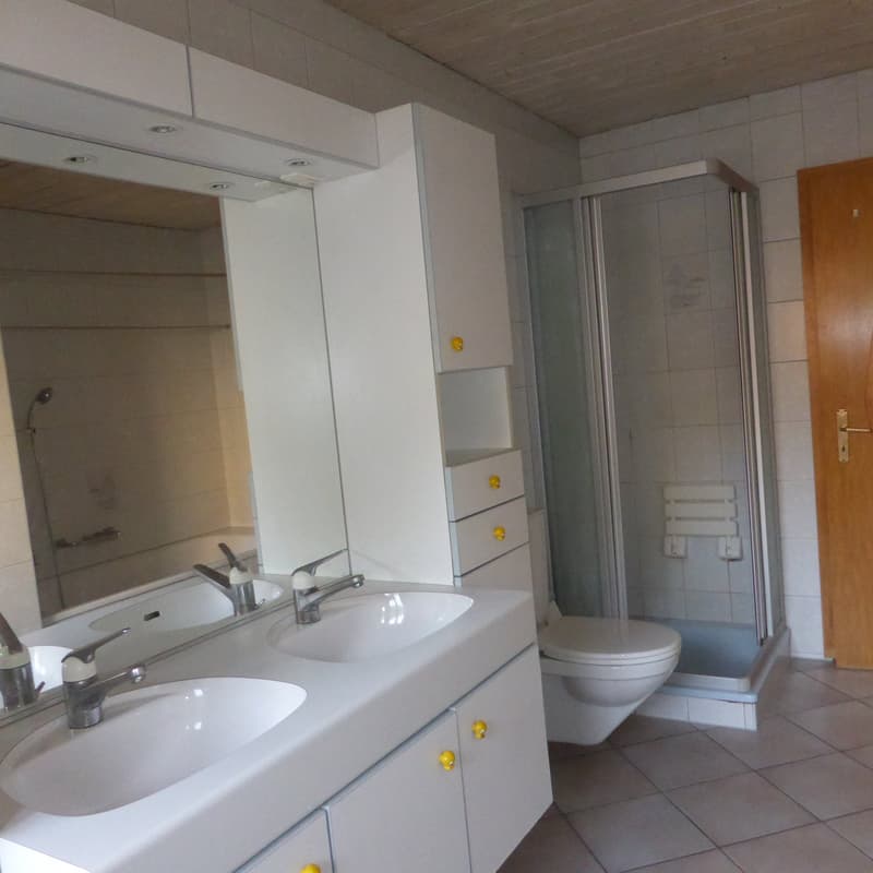 Appartamento 5 locali a Soyhières (9)