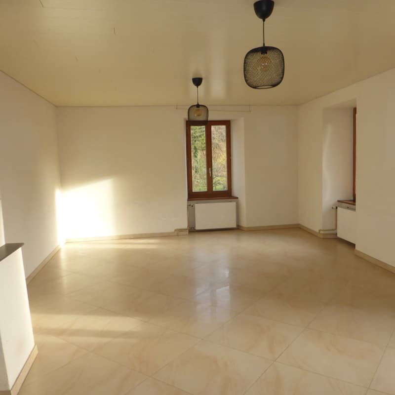 Appartamento 5 locali a Soyhières (5)