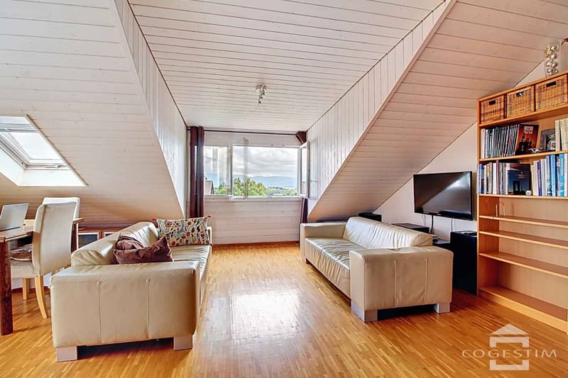 Duplex apartment with lake and Alpine views (3)