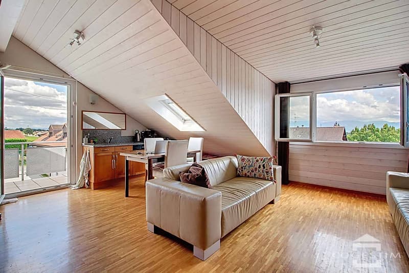 Duplex apartment with lake and Alpine views (2)