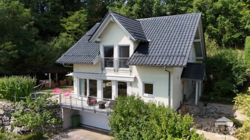 Maison individuelle en bois dans un écrin de verdure (1)