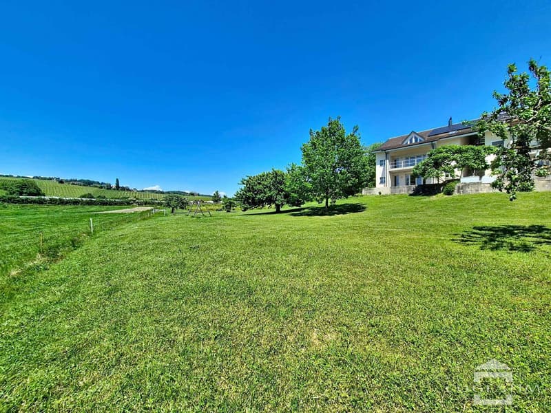 La serenità della campagna, a 10 minuti da Morges, grande casa semidetached (13)