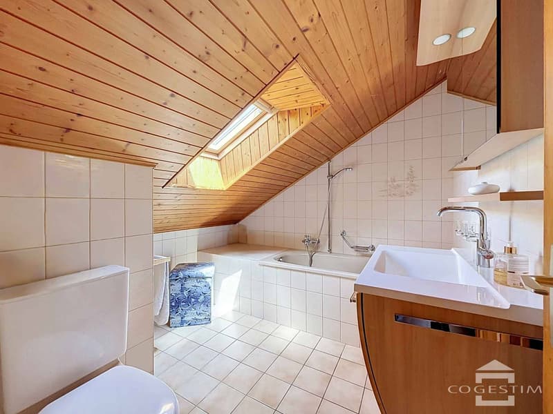 Grande maison individuelle dans son écrin de verdure (10)