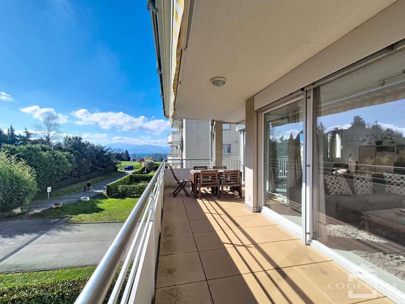 Appartement lumineux de 4,5 pièces à deux pas du Léman (3)
