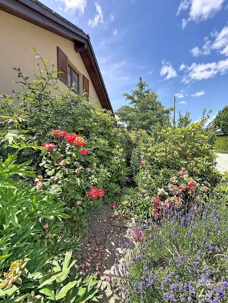 Grande maison individuelle dans son écrin de verdure (13)