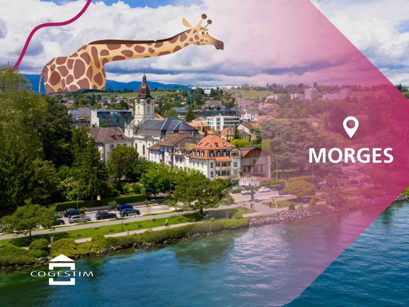 Projet de deux villas jumelles à deux pas du Léman VILLA B (8)