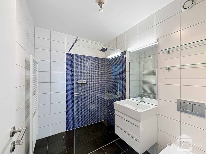 Beautiful apartment with garden in Mont-sur-Lausanne! (12)