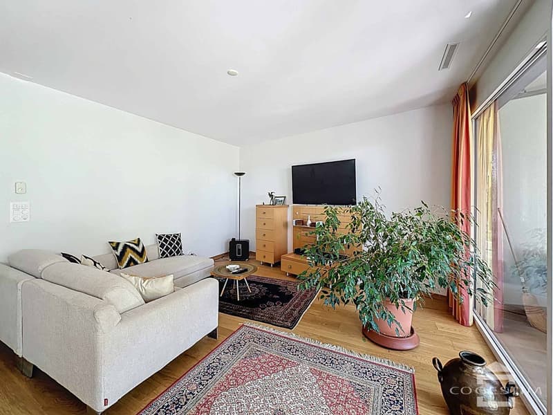 Beautiful apartment with garden in Mont-sur-Lausanne! (6)
