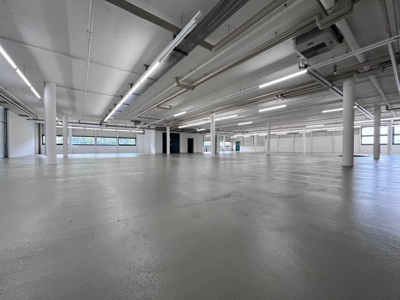 Superficie di vendita attraente nel HÄGI-PARK a Hägendorf da CHF 119.- per m2 (9)
