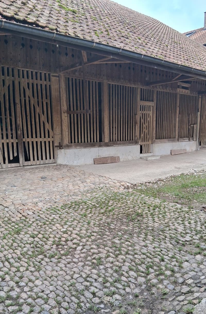 Rustic farm building with a tiled roof, wooden doors, cobblestone pavement, and a grassy area in front.