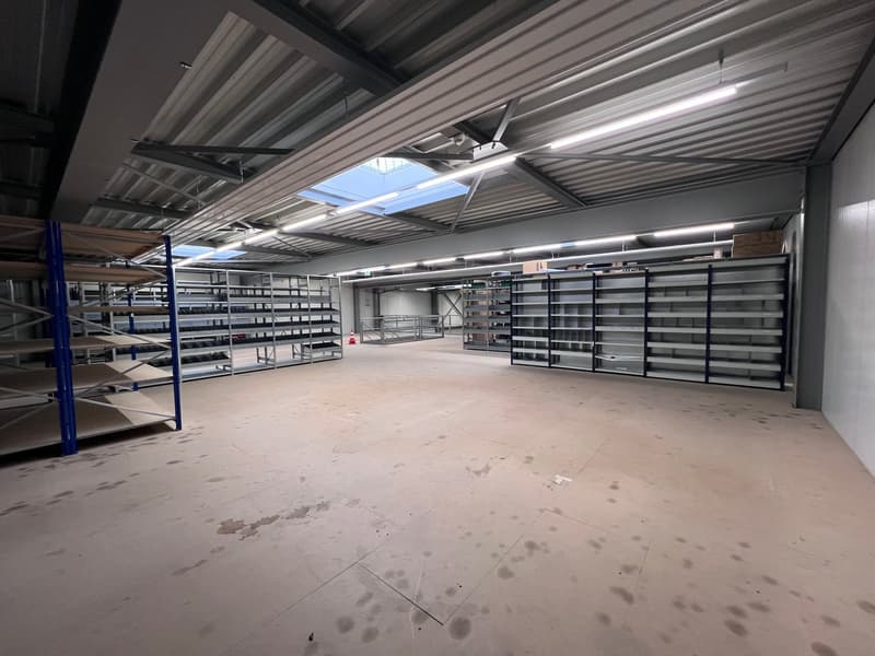 empty large building, shelves, skylight