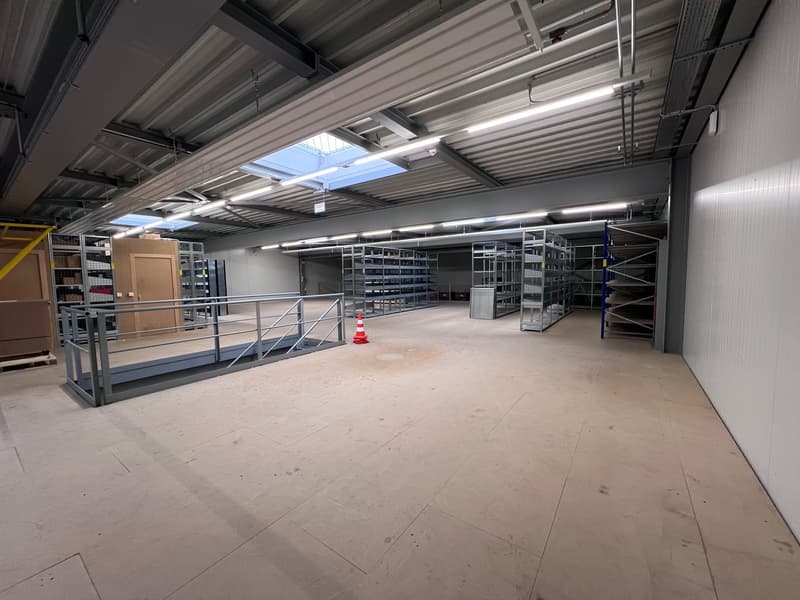 Empty warehouse with metal shelves, metal railings, and fluorescent lights on the ceiling.