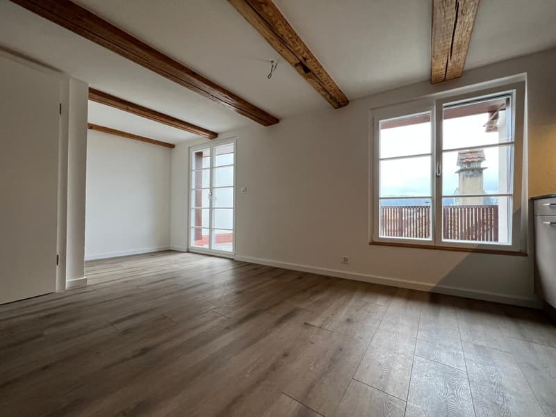 Nouvel appartement de maisonnette de 4,5 pièces rénové dans le centre-ville (6)