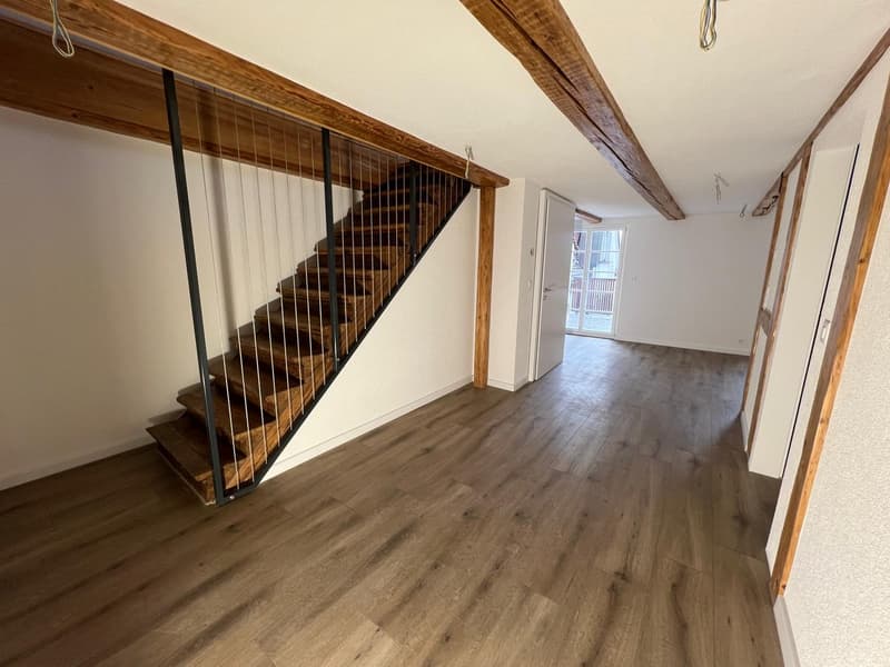 Nouvel appartement de maisonnette de 4,5 pièces rénové dans le centre-ville (14)