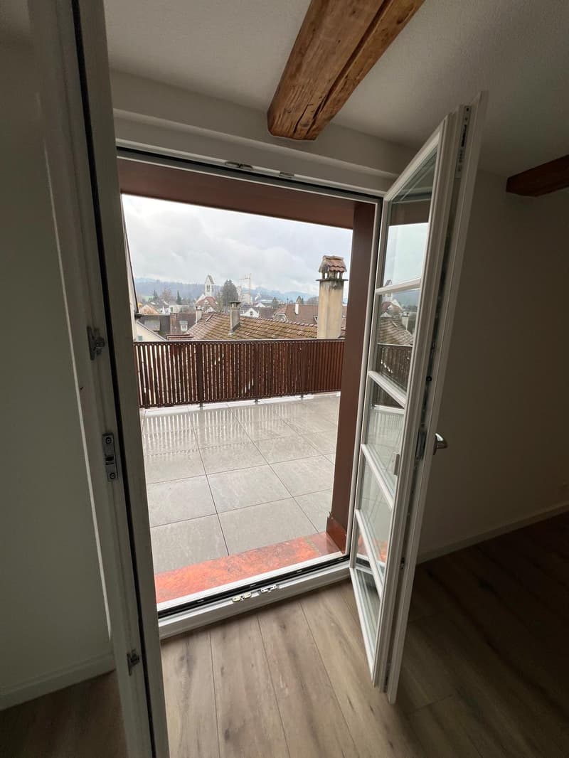Nouvel appartement de maisonnette de 4,5 pièces rénové dans le centre-ville (5)