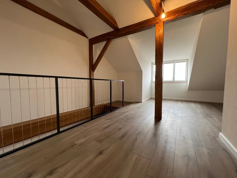 Nouvel appartement de maisonnette de 4,5 pièces rénové dans le centre-ville (16)