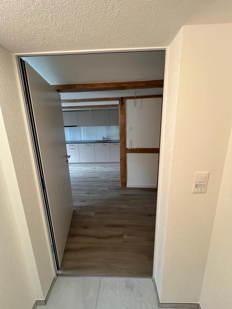 Nouvel appartement de maisonnette de 4,5 pièces rénové dans le centre-ville (4)