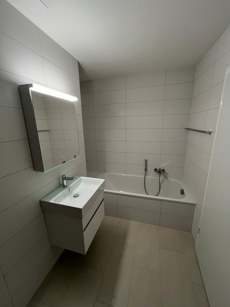 Nouvel appartement de maisonnette de 4,5 pièces rénové dans le centre-ville (21)