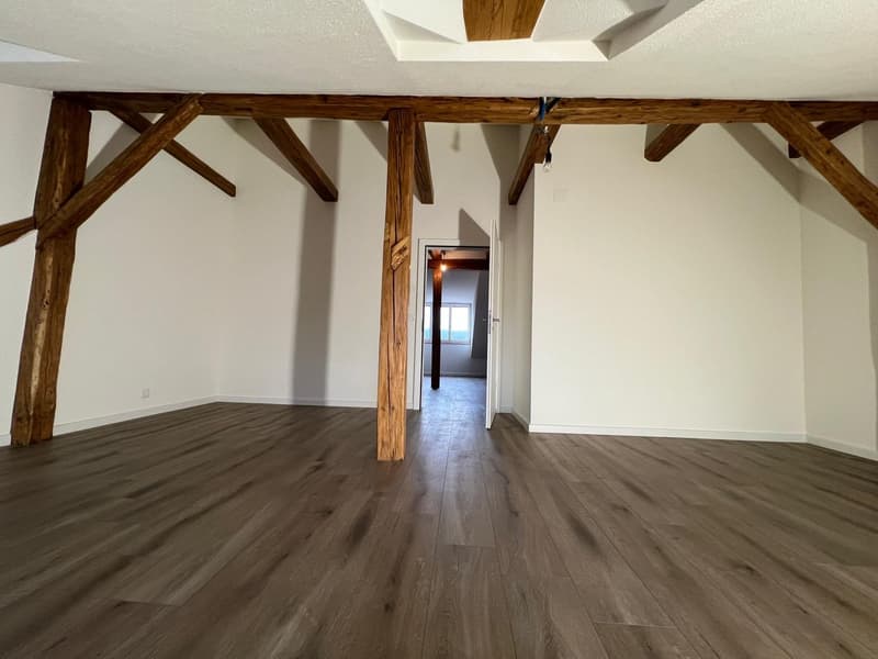 Nouvel appartement de maisonnette de 4,5 pièces rénové dans le centre-ville (19)