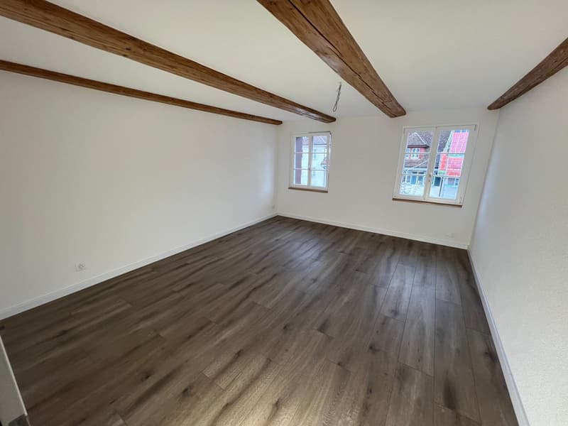 Nouvel appartement de maisonnette de 4,5 pièces rénové dans le centre-ville (8)
