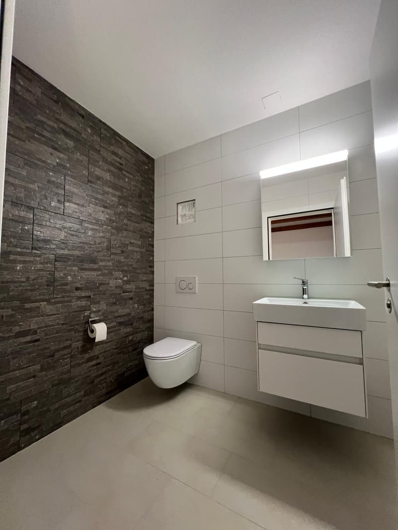 Nouvel appartement de maisonnette de 4,5 pièces rénové dans le centre-ville (20)