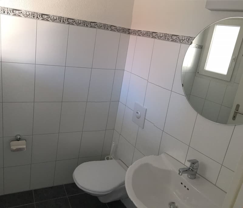 5.5-Zimmer DEFH mit grossem Garten und Autounterstand (7)