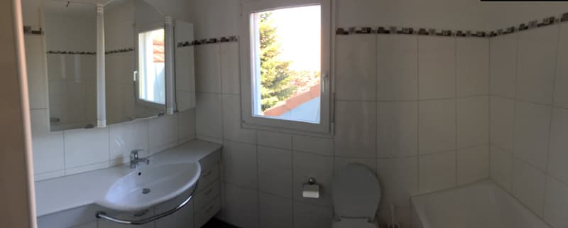 5.5-Zimmer DEFH mit grossem Garten und Autounterstand (11)