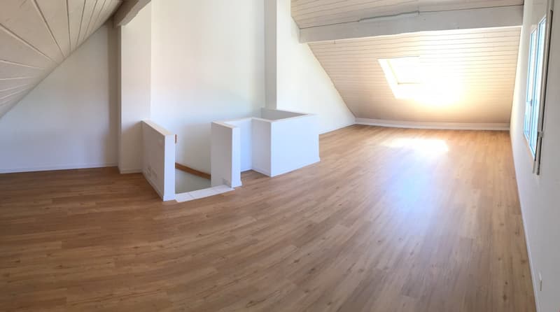 5.5-Zimmer DEFH mit grossem Garten und Autounterstand (13)