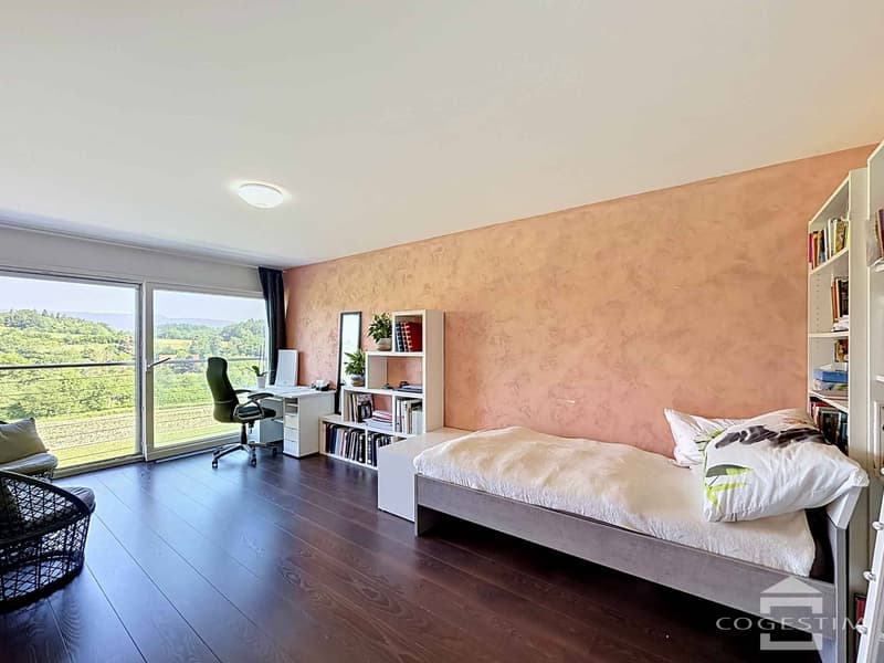 Villa mitoyenne contemporaine de 6.5 pièces (9)