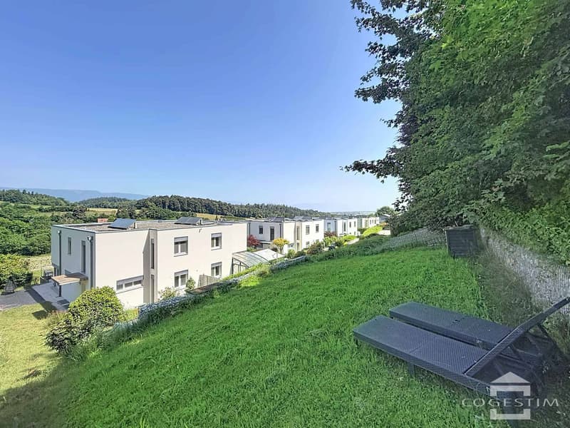 Villa mitoyenne contemporaine de 6.5 pièces (1)