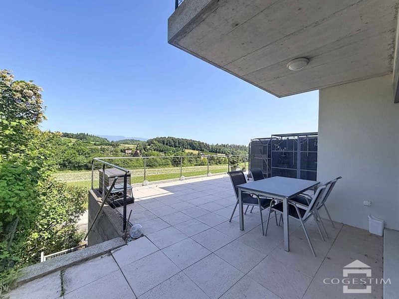 Villa mitoyenne contemporaine de 6.5 pièces (3)