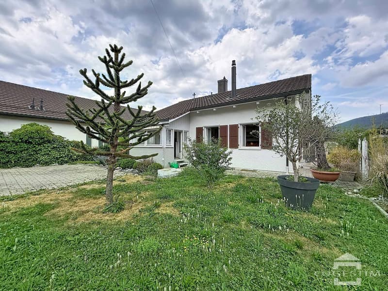 Charming single-storey house (13)