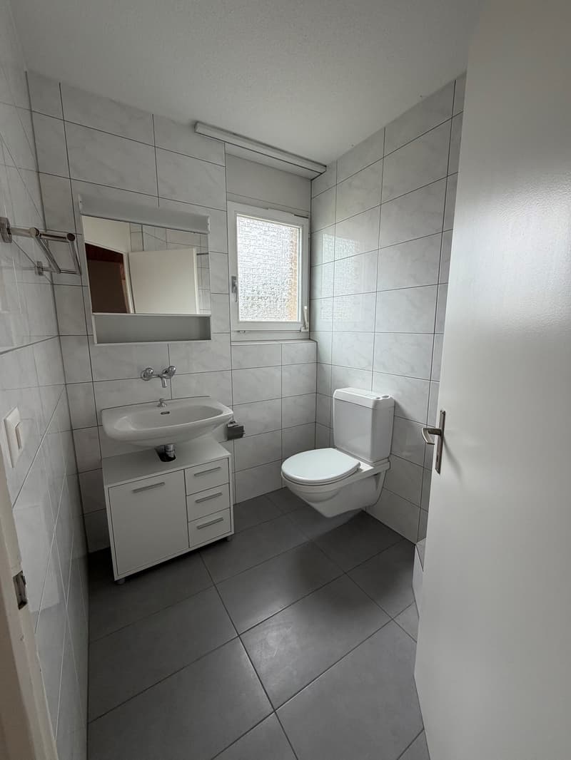 Grosszügige Dachwohnung / Appartement sous les toits (14)