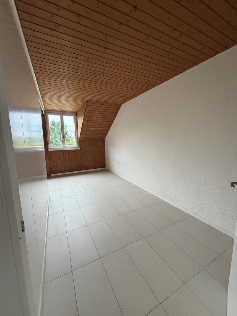 Grosszügige Dachwohnung / Appartement sous les toits (10)