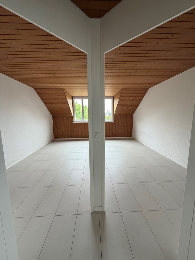 Grosszügige Dachwohnung / Appartement sous les toits (8)