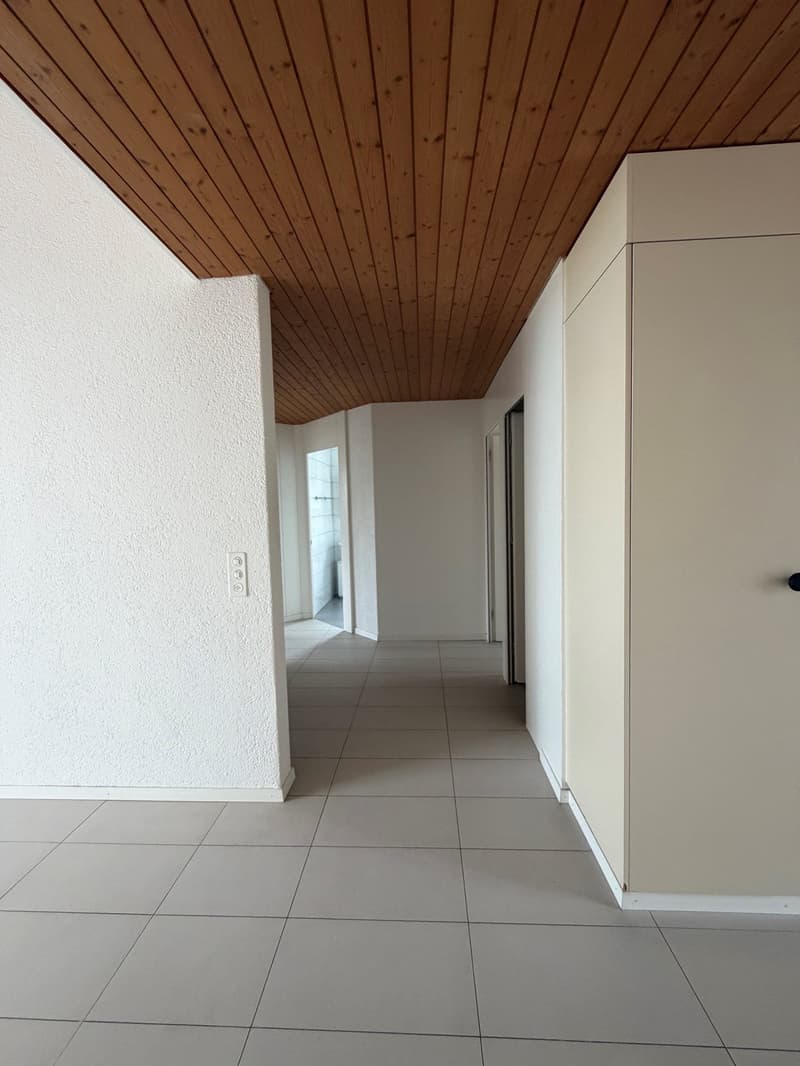 Grosszügige Dachwohnung / Appartement sous les toits (12)