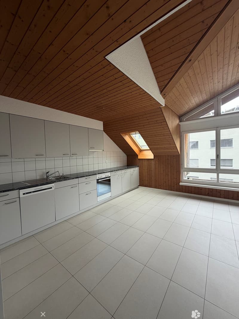Grosszügige Dachwohnung / Appartement sous les toits (2)