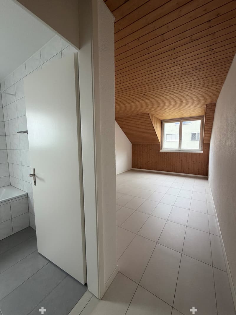 Grosszügige Dachwohnung / Appartement sous les toits (7)