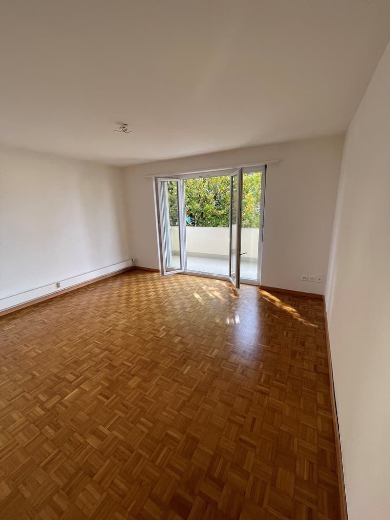 Renovierte 3-Zimmerwohnung mit 2 Balkonen (12)