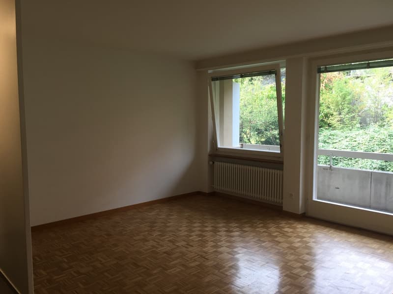1,5 Zimmerwohnung / Nr. 8 (1)