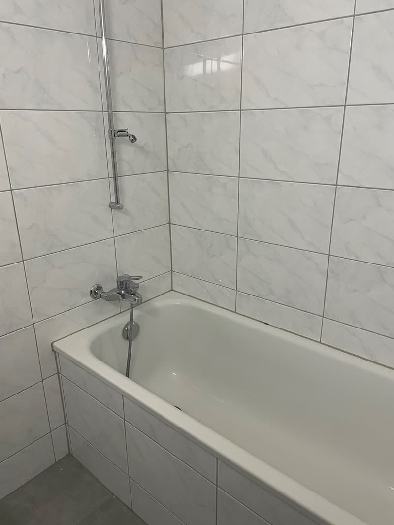 1,5 Zimmerwohnung / Nr. 8 (4)