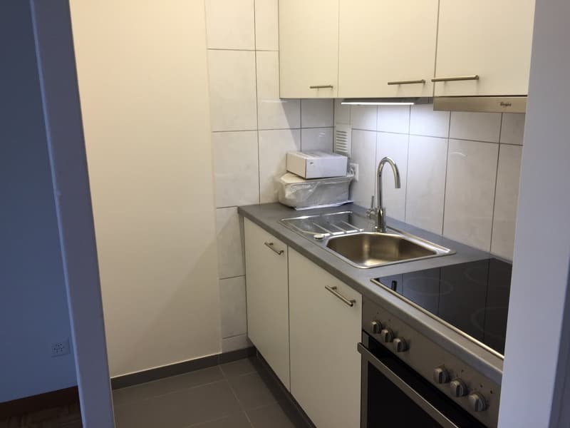 1,5 Zimmerwohnung / Nr. 24 (2)