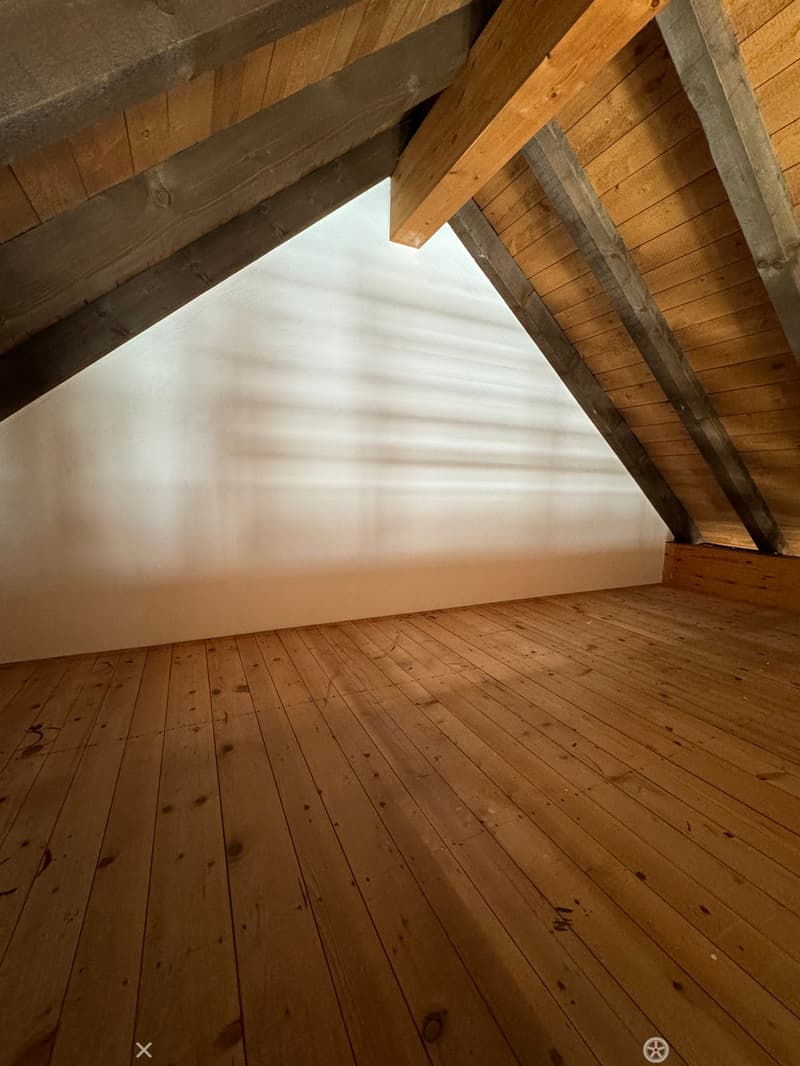 Einzigartige 1.5-Zimmer Wohnung mit Galerie (6)